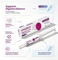 Pâte de Soin Digestif Rapide OEM ODM, Supplément Pré- & Probiotique pour Chiens de Taille Moyenne, Favorise la Santé Intestinale et Soulage les Affections Hémorroïdaires