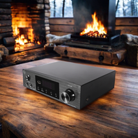 Marka yeni 200-Watt Mini boyutu alüminyum alaşım ev amplifikatör yüksek kaliteli Stereo dijital DSP USB Mic BT ses Karaoke için özellikler