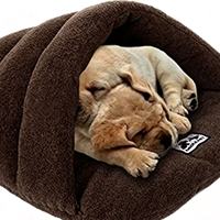 Lit pour animaux de compagnie Yangyangpet personnalisé pour chats, petits chiens, chiots, lit en forme de chaussure géante avec coussin