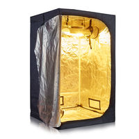 Serre d'intérieur hydroponique 2x2 24 "x 24" x 56 "Kit de tente de culture à cadre métallique Plateau d'observation de fenêtre pour l'entretien des plantes à domicile