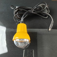Lanterne solaire d'urgence avec batterie 4500 mAh pour le camping et la maison, double panneau 1,7 W avec kit d'ampoules LED