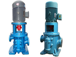 ปั๊มสกรูแนวตั้งสามหัวแบบ 3GCL สำหรับงานทางทะเล - Product Image 2