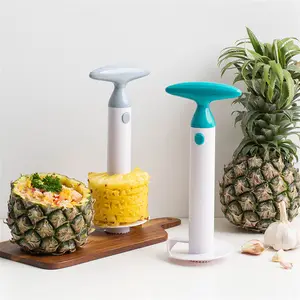 Popular cheap kitchen tools plastic manual fruit pineapple corer cutter slicer peeler