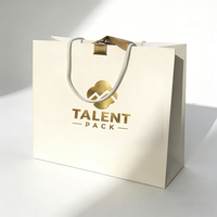 Sac en papier kraft personnalisé pour le commerce de détail, sac de shopping pour vêtements, sac cadeau de luxe avec poignée, mini emballage imprimé avec logo de marque