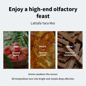 Offre Spéciale Unisexe Eau de Parfum Originale Vaporisateur de Poche 35ML Format <span class=keywords><strong>Voyage</strong></span> Parfum Floral & Fruité Mini Parfums Arabes de Dubaï - <span class=keywords><strong>Vente</strong></span> en Gros - Product Image 4