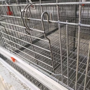 Cage à poulets de type A à 3/4 niveaux, cage d'élevage avicole à alimentation automatique 3/4 - Product Image 6