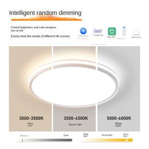 Moderne Simple avec protection des yeux à spectre complet 24W Home Smart Living Room Lamp Bedroom Lamp Mi Home Lighting LED Plafonnier - Product Image 4