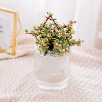 Ruipu Nieuwe Verdikte Pp Materiaal Indoor Witte Spiraal Pot De Fleur Exterieur Ontwerp Zelf-Absorberende Bloempot