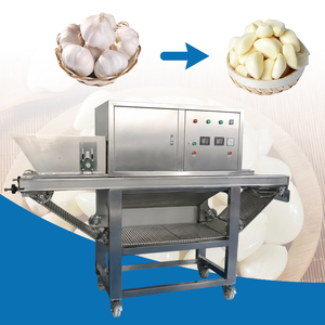 Machine automatique électrique de fendage <span class=keywords><strong>et</strong></span> de séparation de l'<span class=keywords><strong>ail</strong></span> 400 kg/h, machine à peler l'oignon sec <span class=keywords><strong>et</strong></span> l'<span class=keywords><strong>ail</strong></span> <span class=keywords><strong>noir</strong></span>, machine à éplucher l'<span class=keywords><strong>ail</strong></span> - Product Image 4