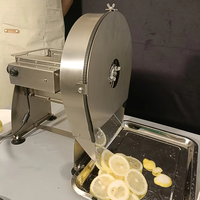 Trancheuse Commerciale Multifonctionnelle pour Fruits et Légumes, Coupe-Pommes de Terre, Citrons, Oranges, Ail, Gingembre – Machine à Trancher Efficace