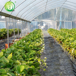 Système de culture en PVC Jiapei pour tomates, concombres et poivrons - Product Image 2