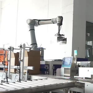 Cobot automatique à haute efficacité pour l'emballage des cartons - Product Image 1
