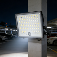 Projecteur LED solaire de jardin ABS PC 4500lm de taille personnalisée, 30W, rechargeable, projecteur extérieur