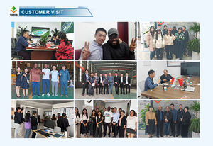 آلة استخراج الزيت، مكبس زيت النخيل والزيتون، جهاز استخراج زيت النخيل والزيتون بسعة 500 كجم/ساعة، مكبس نخيل صغير - Product Image 4