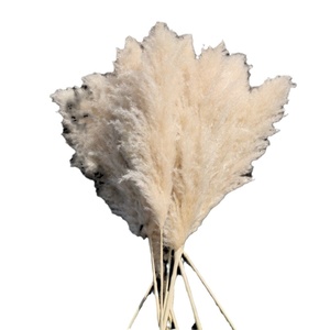 Style européen américain décoration <span class=keywords><strong>de</strong></span> la maison Xiyin naturel sec grande pampa herbe <span class=keywords><strong>fleurs</strong></span> <span class=keywords><strong>séchées</strong></span> grande <span class=keywords><strong>couronne</strong></span> <span class=keywords><strong>pour</strong></span> mariage transfrontalier - Product Image 5