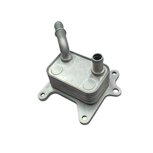 213053566R 21305-3566R Radiador de Refrigeración de Transmisión para Renault CLIO Dacia LOGAN <span class=keywords><strong>SANDERO</strong></span> - Product Image 1