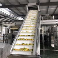 Automatische Mangosap Verwerkingslijn Sap Machine Mangopulp En Puree Vruchtensap Maken Productielijn