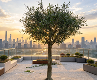 Arbre d'olivier artificiel sur pied, grand format, personnalisé, le plus vendu, pour aménagement paysager, décoration extérieure, maison et centre commercial