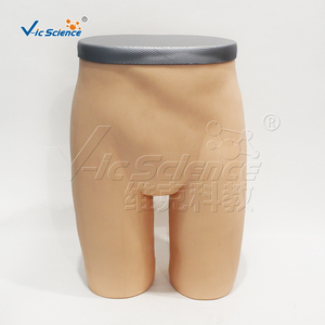 Modelo Avanzado de Inyección Intramuscular en la Cadera con Anatomía Removible para Recursos de Enseñanza de Habilidades de Enfermería, Certificaciones CE, ISO, ROHS, CNAS, SGS, Directo de Fábrica - Product Image 4