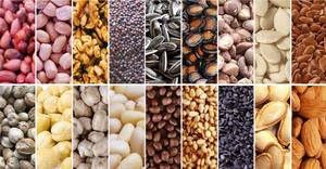 Mini petite presse <span class=keywords><strong>à</strong></span> huile de graines <span class=keywords><strong>à</strong></span> bas prix pour usage <span class=keywords><strong>individuel</strong></span> - Product Image 5