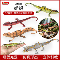 Jouets de simulation solides pour enfants yxs, modèles de reptiles, figurines de caméléon, de marmotte, d'ormy, de hérisson et d'écureuil