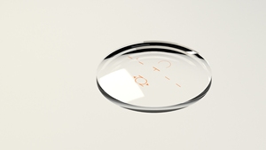 Lunettes progressives <span class=keywords><strong>photochromiques</strong></span> Visiclear à blocage de la lumière bleue, design élégant, montures transparentes 72 mm, <span class=keywords><strong>prix</strong></span> bas - Product Image 5