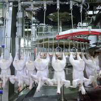 Machinerie d'abattoir et outil d'abattage de volaille