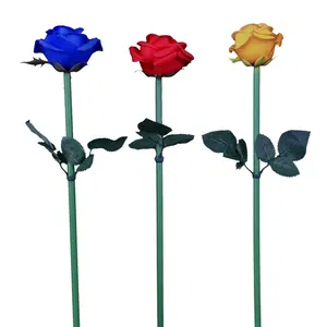 Año 2020 brillo disponible Rosa Flor del jardín de la lámpara para vacaciones y boda