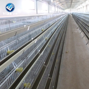 Gabbia automatiche per la raccolta di uova 200 per 600 gli uccelli Vendita calda in Malesia gabbie di quaglia per la produzione di uova - Product Image 5