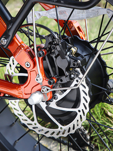 Chúng Tôi Kho Nhôm Khung 20 Inch 48V 14.5ah 750W Lithium Pin Điện Lai Xe Đạp Bán Buôn - Product Image 6