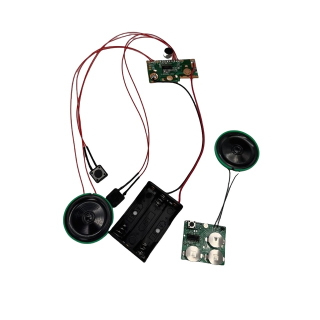 Customized Music Recording Electronic Movement Talking Record Voice MP3 Module Sound Toy HSC3139U
