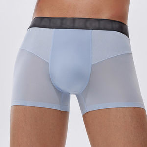 Premium Mesh Sport Hommes Boxer Slip Logo Personnalisé Respirant Sans Couture Glace Soie Hommes Culottes et Boxers pour Hommes en Gros - Product Image 1