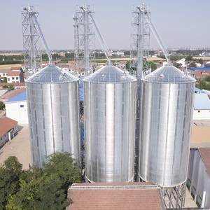 Galvanized <b>Metal</b> Silos for Grain <b>Storage</b> 50T-1000T Corn Silo Competitive Price - Product Image 5
