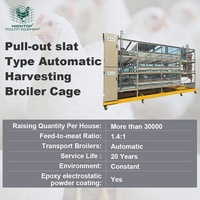 Système d'élevage avicole automatisé personnalisé pour poulets, cage à batterie de type H à 4 niveaux pour poulailler de 80 000 poulets de chair