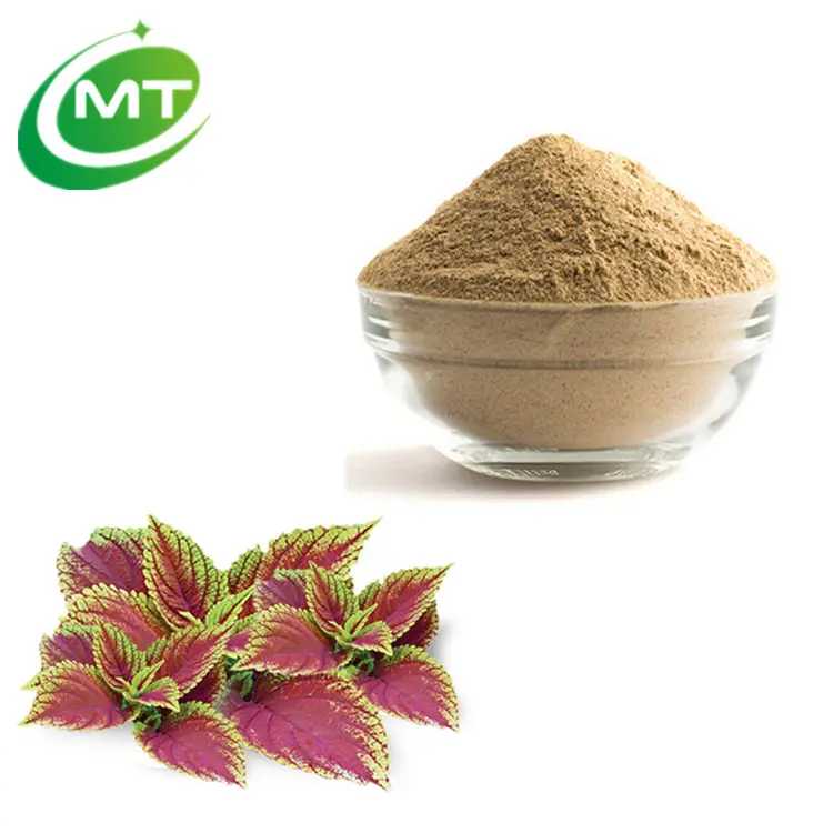 MT Health Organic 100% Pure Coleus Forskohlii Extract Powder