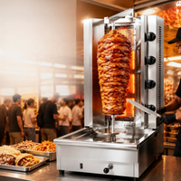 Machine à kebab shawarma professionnelle à gaz, brûleur commercial, acier inoxydable, grill vertical rotatif