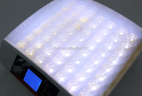 Nouvel incubateur mini automatique de qualité supérieure pour 56 œufs, avec éclairage LED, taux d'éclosion de 96%-98%, haute productivité, approuvé CE