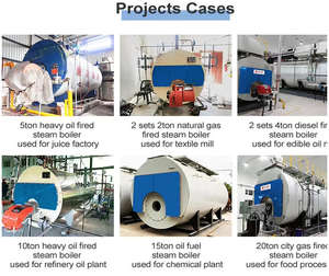 Caldaia Industriale Orizzontale a Pressione per Acqua Calda con Controllo PLC, Alimentata a Gas Naturale Liquido/Olio con Recupero di Calore, Generatori di Vapore - Product Image 5