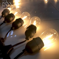Guirlande lumineuse LED TOPREX imperméable pour l'extérieur, les fêtes, les mariages, les décorations, lumière chaude, ampoule S14, en vente