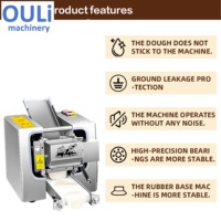 Presse à pâtes multifonctionnelle entièrement automatique pour la préparation de pâtes, nouilles et pâte à pizza, 2200W, en acier inoxydable