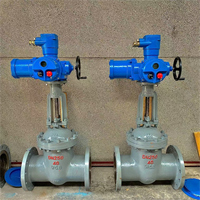 Vanne à opercule de 65 mm, Vanne à opercule pneumatique, Vanne à opercule en fonte pour VR, Vanne à opercule à bride en fonte SW de 6 pouces, Vanne manuelle JIS 10K, Vanne en fonte ductile de 4 pouces