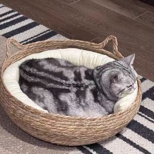 Lit pour chat naturel en paille tressée, maison pour animaux tressée à la main en feuilles de canne, avec coussin moelleux, panier-lit en paille tricoté à la main - Product Image 2
