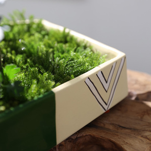 Petits pots de fleurs en céramique d'origine de style <span class=keywords><strong>japonais</strong></span> importés avec le même tissu et le même style de cuisson du Japon - Product Image 4