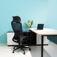 Chaise de bureau ergonomique moderne en maille, pivotante, à genouillère, avec hauteur réglable - Occasion à bas prix