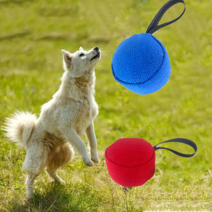 Jouet interactif <span class=keywords><strong>pour</strong></span> <span class=keywords><strong>chien</strong></span> à vibration électrique, avec poignée robuste, durable, écologique, étanche IP67, <span class=keywords><strong>pour</strong></span> l'entraînement - Product Image 4