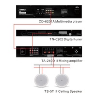Thinuna TA Series PA System Mixer Amplificateur de puissance Entrée du microphone Amplificateur de mixage avec écran BT/USB/FM/LCD/Effet sonore 5 EQ