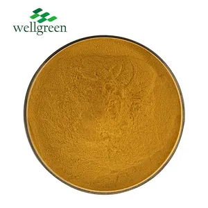 Nature Catechin Green Tea Anti-oxidation 70% Green Tea Extract EGCG Catechin