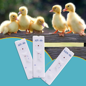 H9 H5 H7 H5n1 cúm gia cầm (cúm gia cầm) virus nhanh chóng kiểm tra H5 aiv gia cầm bệnh phát hiện Kit - Product Image 2