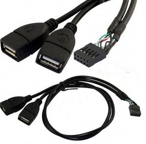 Dupont 10 Pin Nữ Tiêu Đề Để <span class=keywords><strong>2</strong></span> Cổng Dual <span class=keywords><strong>USB</strong></span> <span class=keywords><strong>2</strong></span>.0 Loại Một Nữ Bo Mạch Chủ Extender Splitter Cable Cord (2AF/10pin 0.5M) - Product Image 1