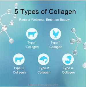 Collagen Peptides Powder Marine Collagen Powder for Beauty Organic Hydrolyzed Collagen Supplement Powder Gummies <strong>Drink</strong> Capsules - Product Image 2